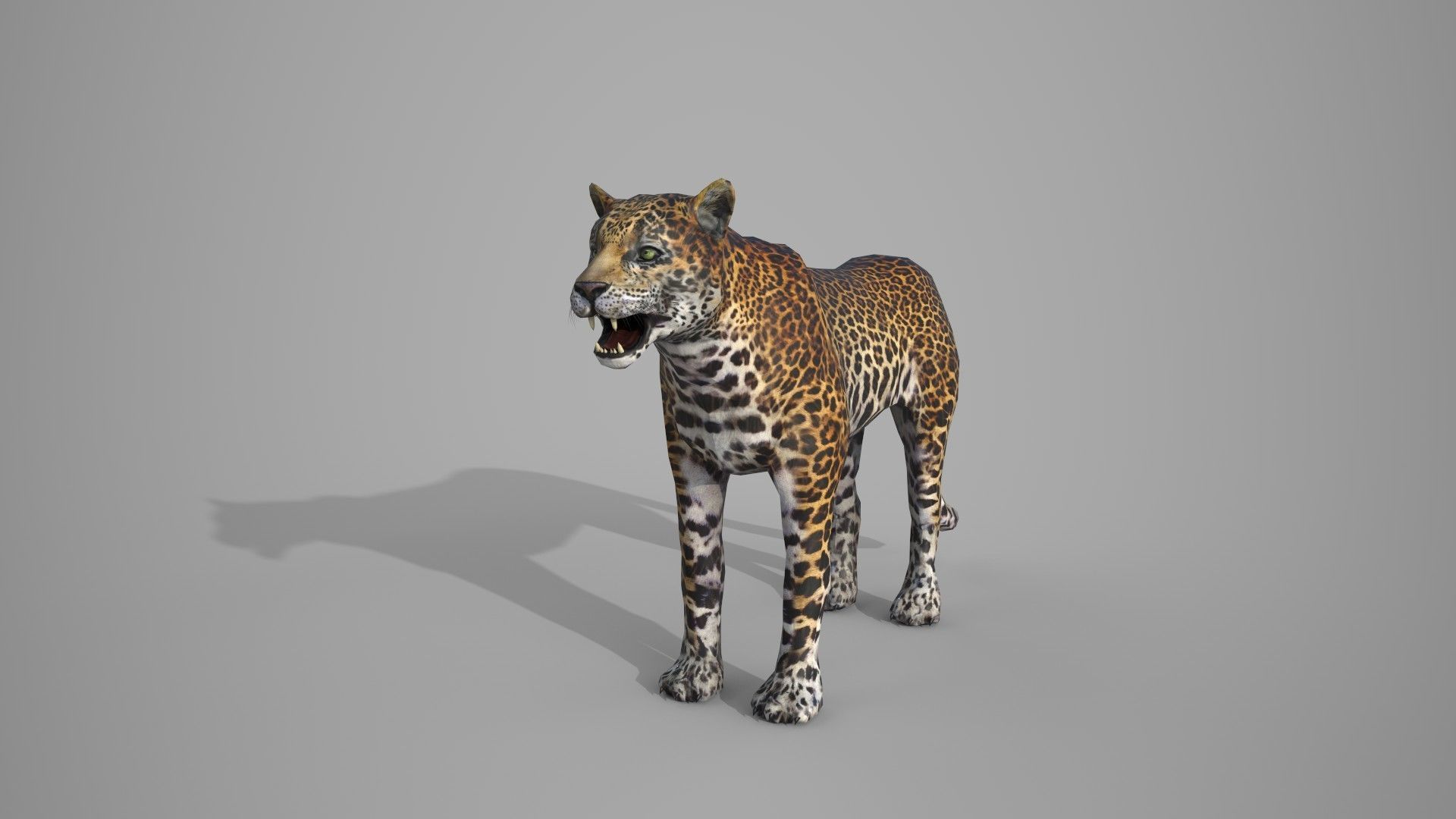 Wildlife Animal — View 01 by Paxeel