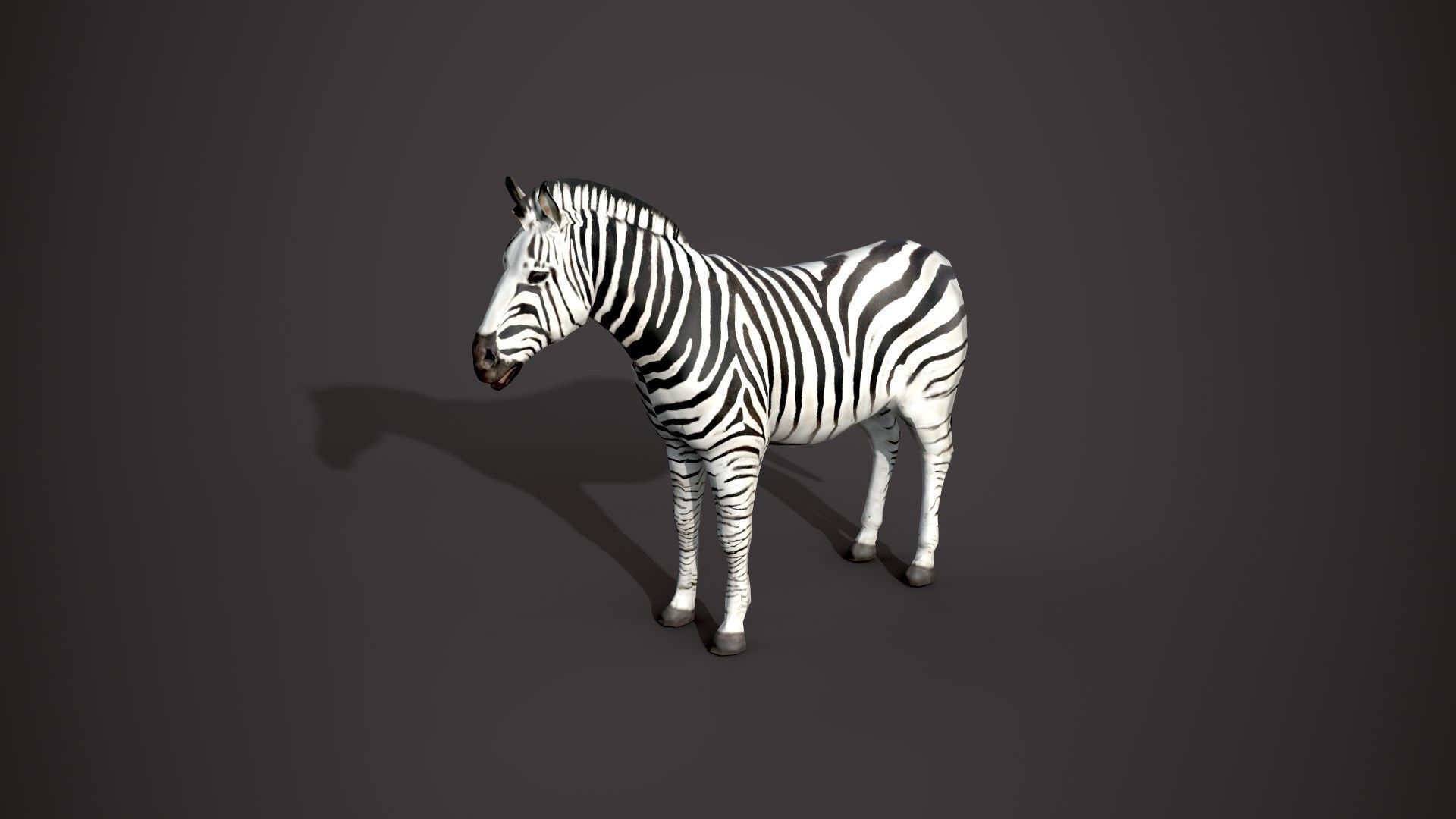 Wildlife Animal — View 06 by Paxeel